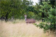 036-KrugerPhbaniGate1