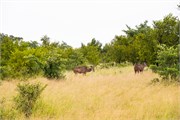 038-KrugerPhbaniGate1