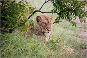 044-KrugerPhbaniGate1