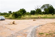 051-KrugerPhbaniGate1