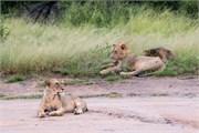 053-KrugerPhbaniGate1