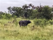 061-KrugerPhbaniGate1