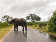 063-KrugerPhbaniGate1