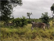 064-KrugerPhbaniGate1