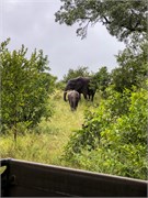 071-KrugerPhbaniGate1
