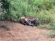 073-KrugerPhbaniGate1
