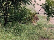 075-KrugerPhbaniGate1