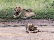080-KrugerPhbaniGate1