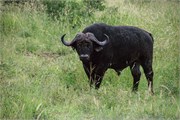 002-KrugerPhbaniGate2