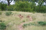 005-KrugerPhbaniGate2