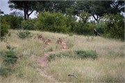 006-KrugerPhbaniGate2