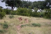 007-KrugerPhbaniGate2