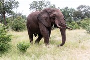012-KrugerPhbaniGate2