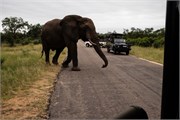013-KrugerPhbaniGate2