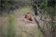 017-KrugerPhbaniGate2