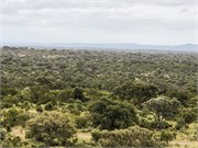 020-KrugerPhbaniGate2