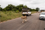 025-KrugerPhbaniGate2