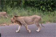 028-KrugerPhbaniGate2