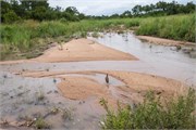 031-KrugerPhbaniGate2