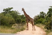 034-KrugerPhbaniGate2