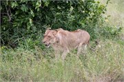 043-KrugerPhbaniGate2