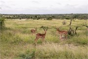047-KrugerPhbaniGate2