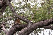 055-KrugerPhbaniGate2