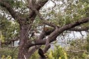 057-KrugerPhbaniGate2