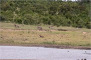 065-KrugerPhbaniGate2