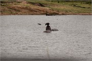067-KrugerPhbaniGate2