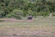 068-KrugerPhbaniGate2
