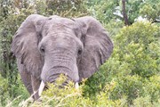 070-KrugerPhbaniGate2