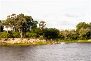 010-Zambezi_Cruise