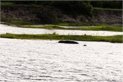 014-Zambezi_Cruise