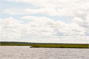014-ToChobe-Cruise