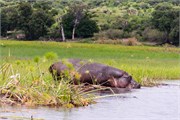 016-ToChobe-Cruise