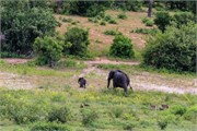 025-ToChobe-Cruise