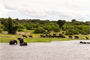 034-ToChobe-Cruise