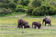 036-ToChobe-Cruise