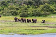 041-ToChobe-Cruise