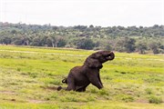 048-ToChobe-Cruise