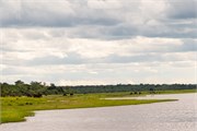 051-ToChobe-Cruise