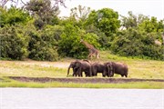 057-ToChobe-Cruise