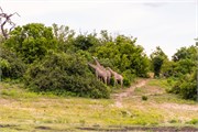 058-ToChobe-Cruise