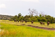 064-ToChobe-Cruise