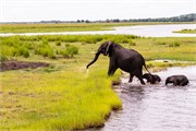 073-ToChobe-Cruise