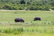 077-ToChobe-Cruise
