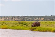 081-ToChobe-Cruise