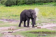 091-ToChobe-Cruise