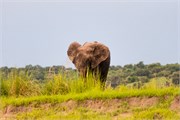 095-ToChobe-Cruise